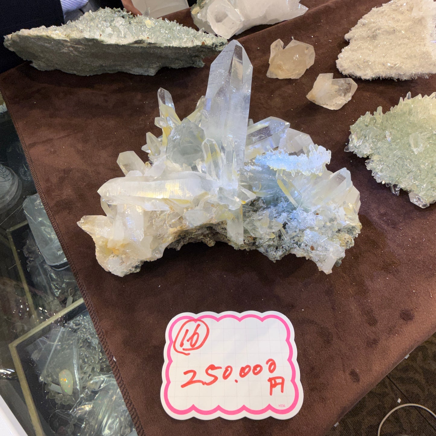 【016】ヒマラヤ水晶 原石 【ヒマラヤ水晶即売会】【live限定】live20260701