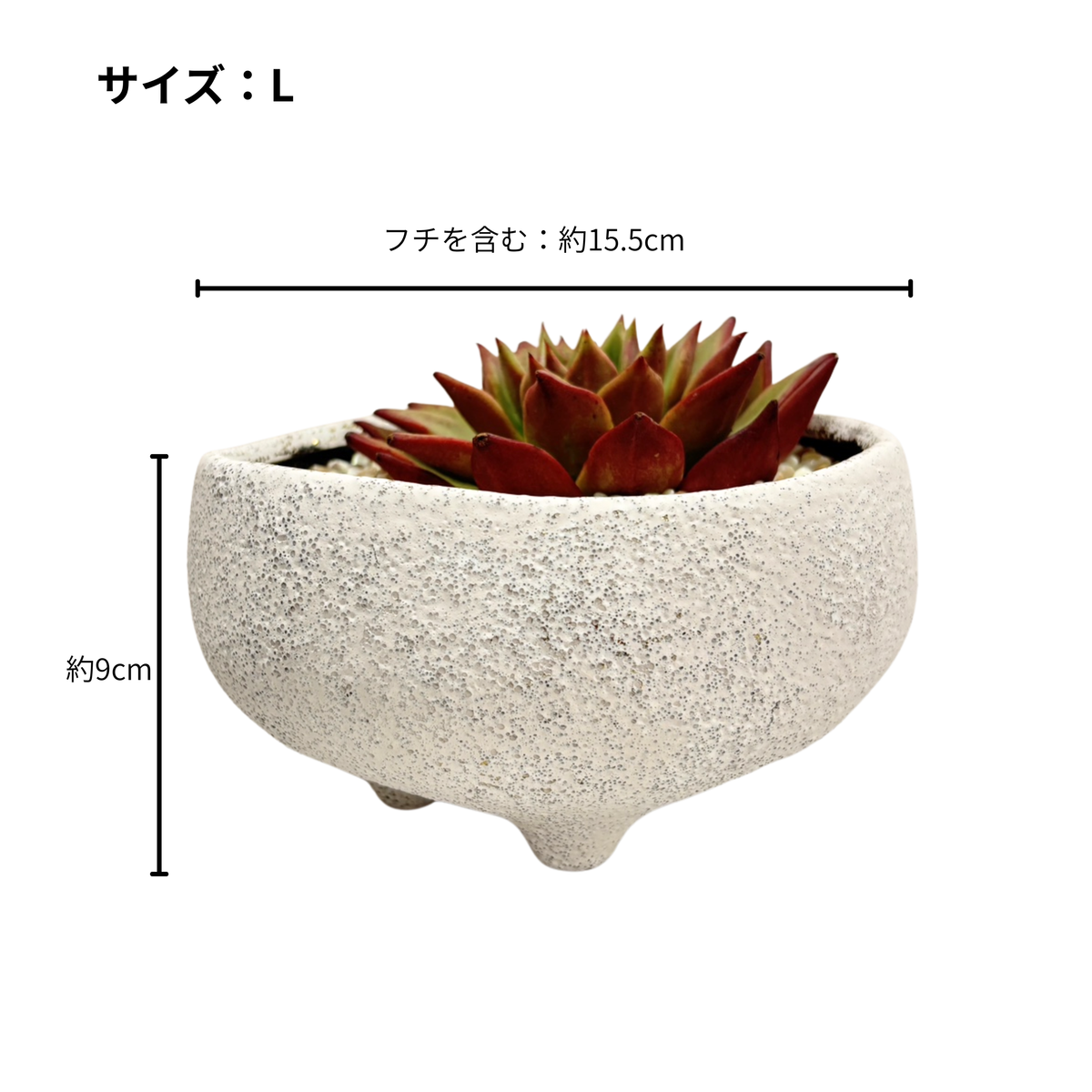 たにく　と　いし【水晶】