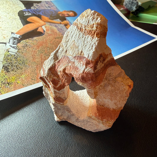 【053】ライオライト（会長ショーケースコレクション） 約102x87mm 約263g【live限定】live20251031