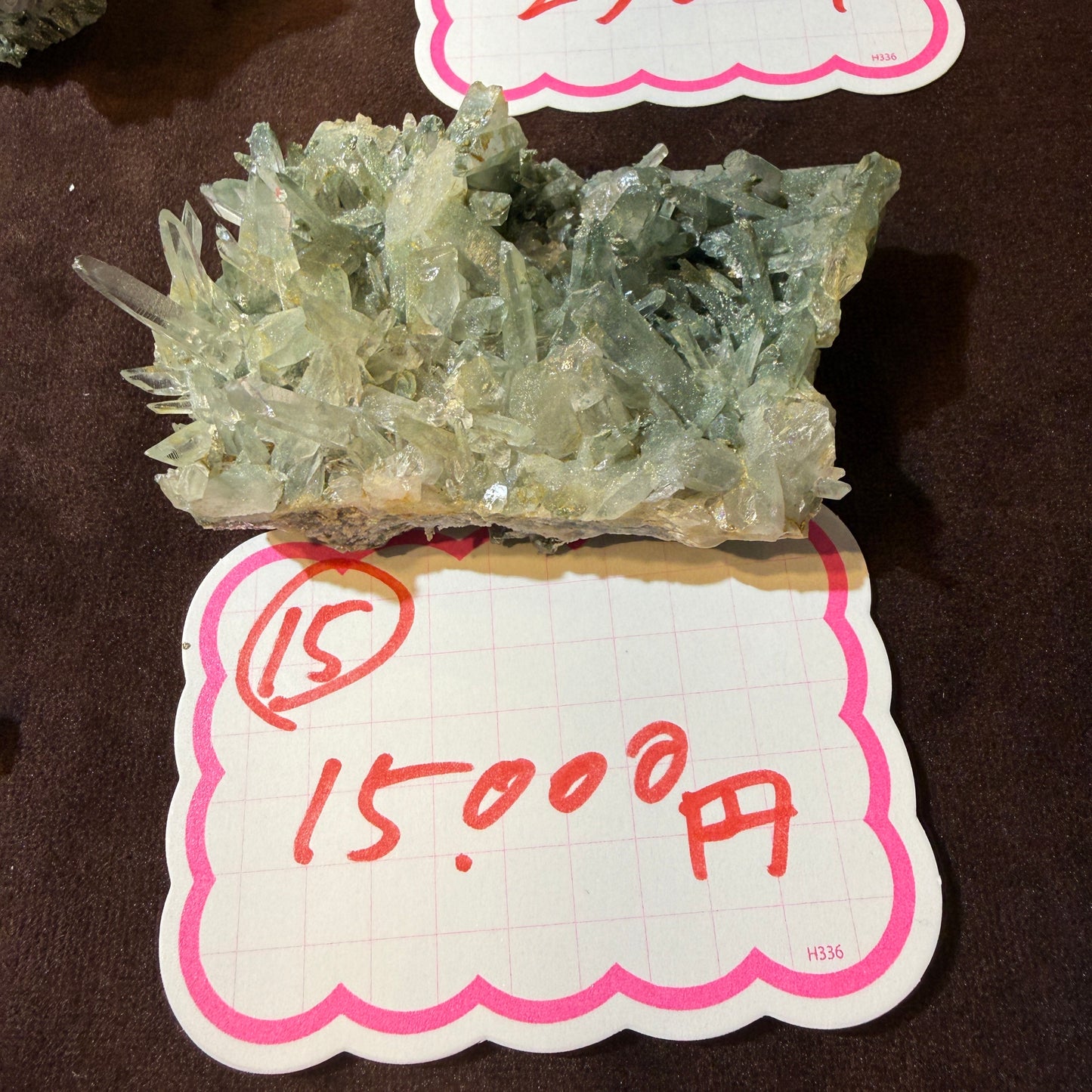 【015】ヒマラヤ水晶 原石 【ヒマラヤ水晶即売会】【live限定】live20260701