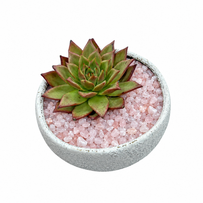 たにく　と　いし【ローズクォーツ】